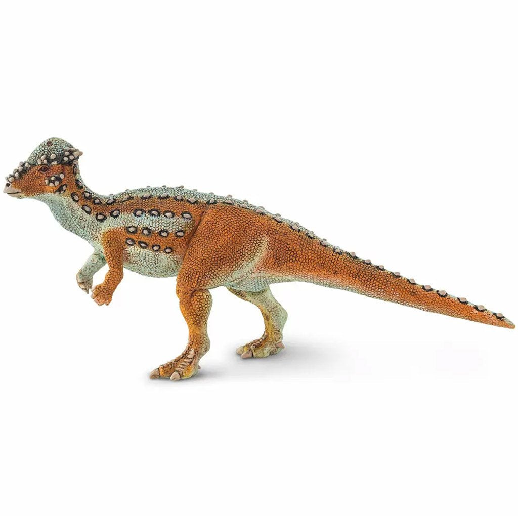 Pachycephalosaurus Toy