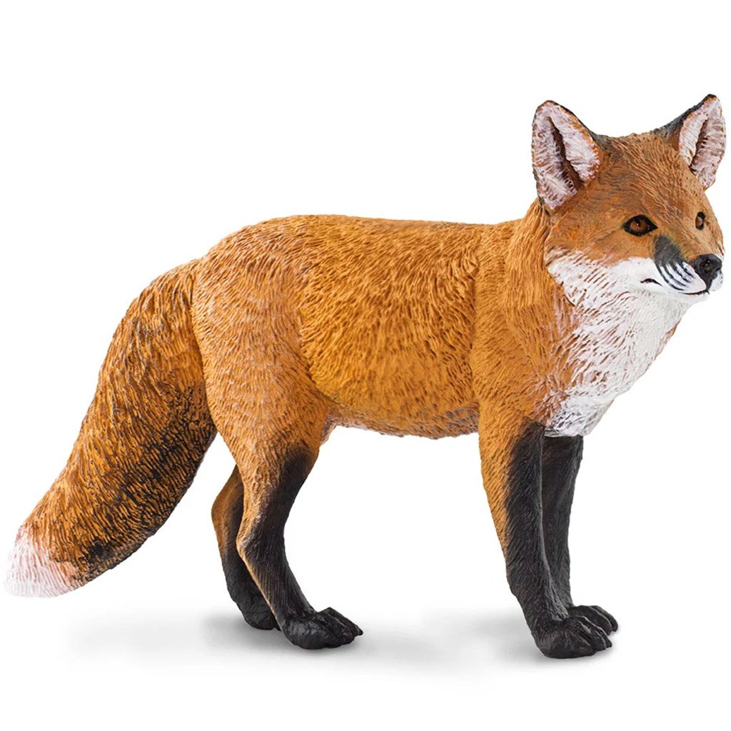 Red Fox