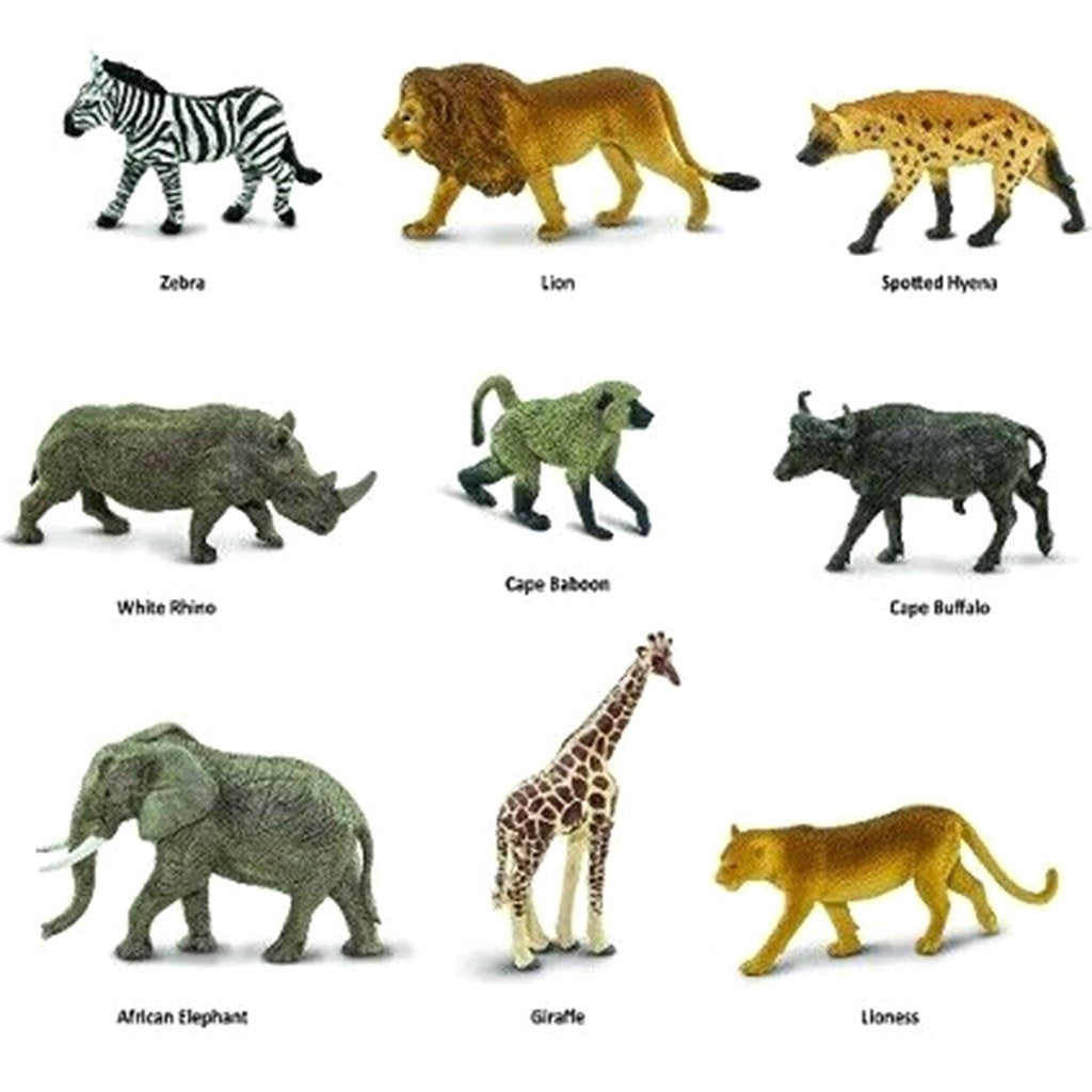 South African Animals