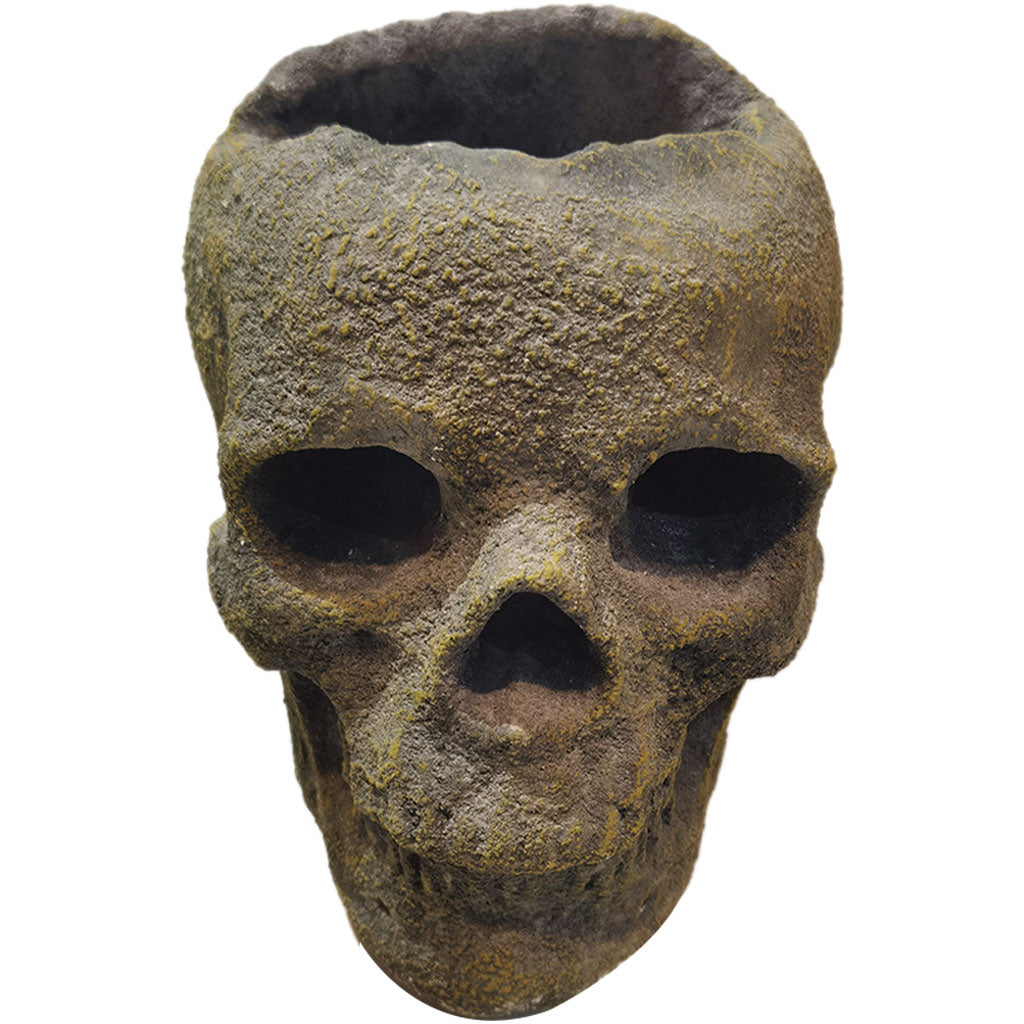 Cement Skull Vase