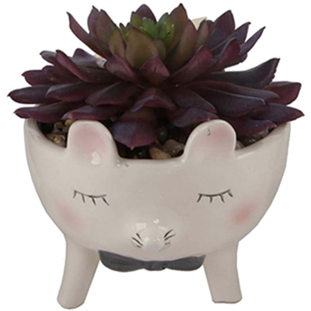Mix Succulents in Big Mouse with Bow Tie