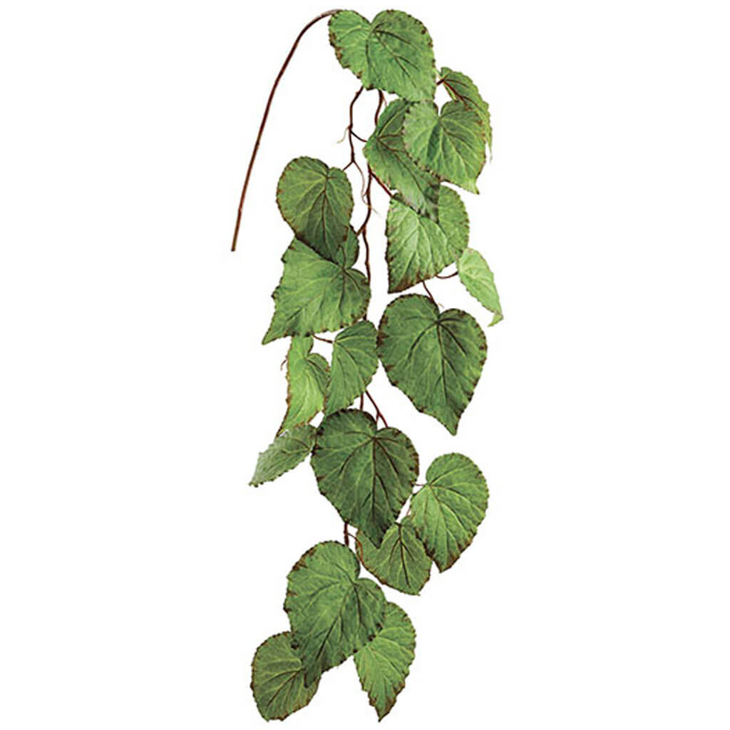 Begonia Leaf Hanging Spray 43in Green