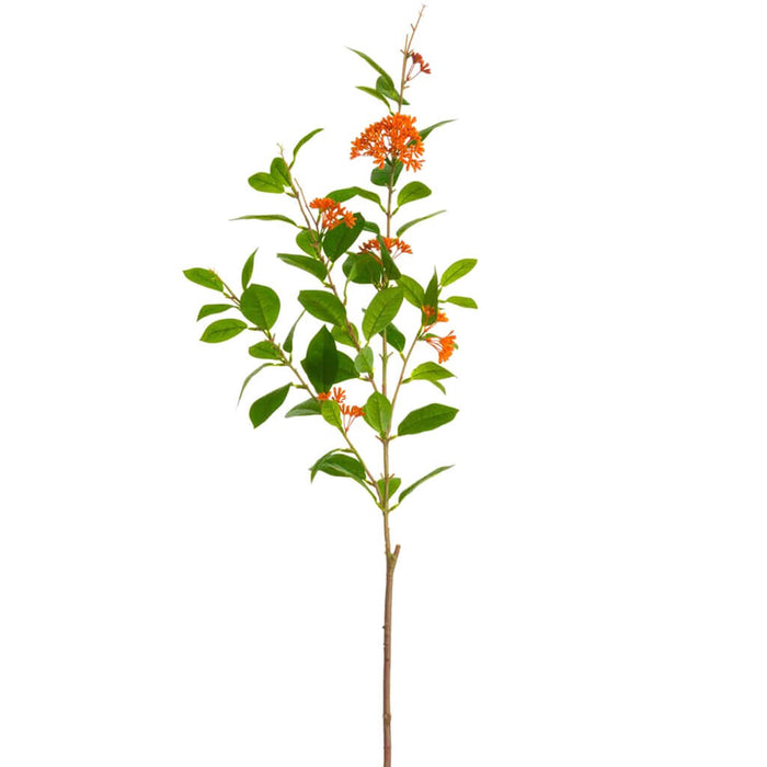 Ixora Spray 45in, Flame