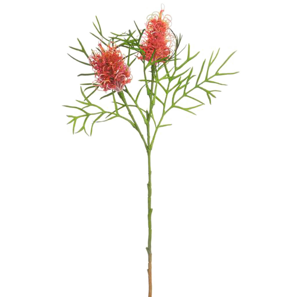 Grevillea Banksii Spray x2 Wine 34in