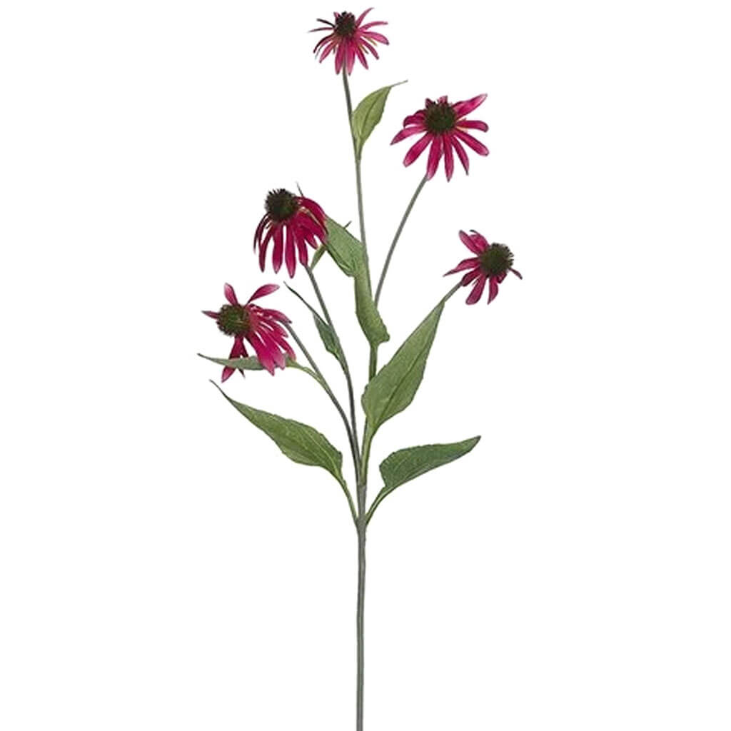 Coneflower Spray 34in Rubrum