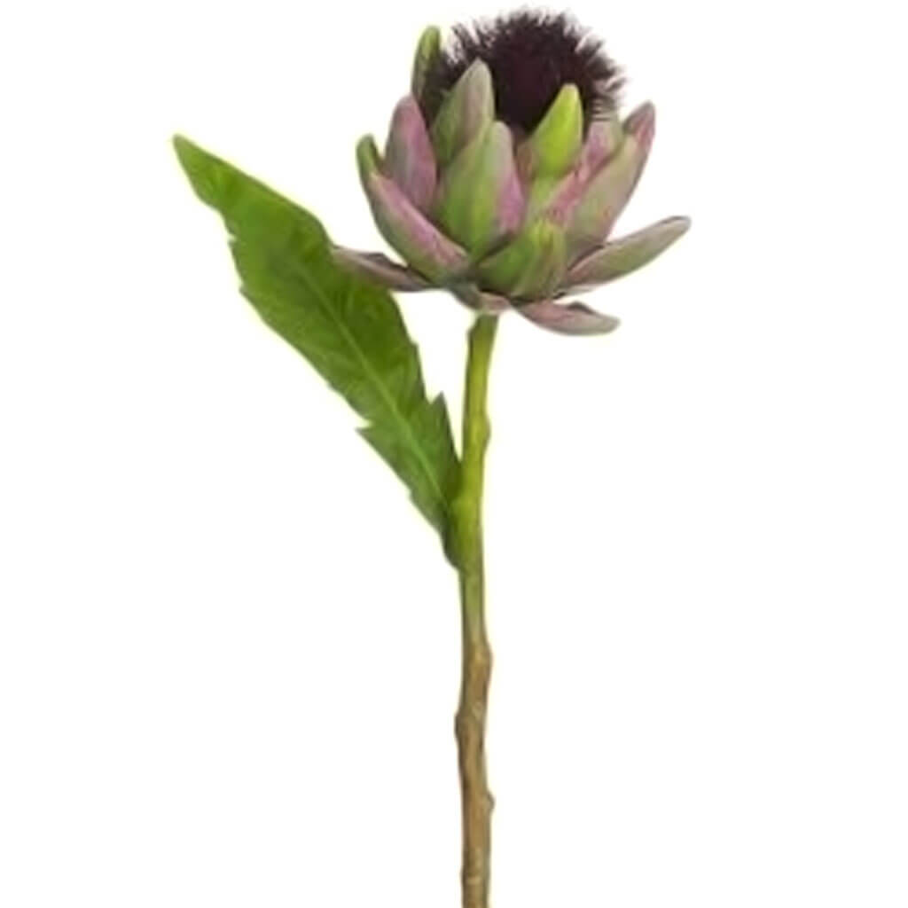 Artichoke Spray 24in Green Eggplant