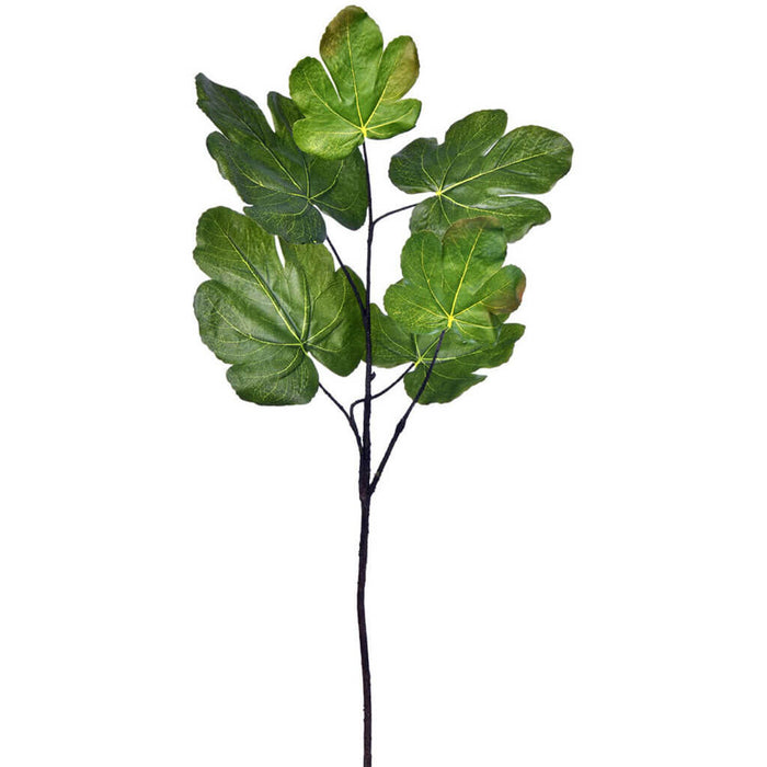 Fig Leaf Spray 26in, Green