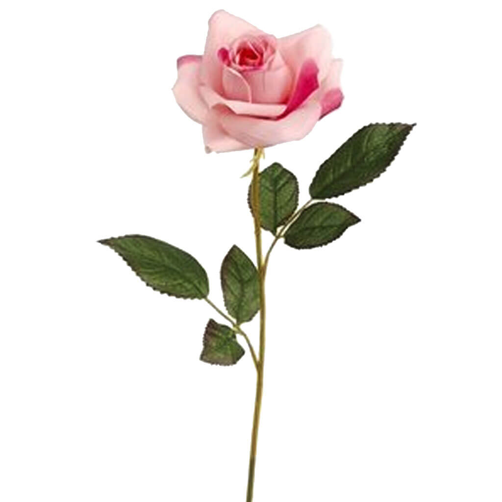 Single Open Rose Spray 20in Two Tone Pink