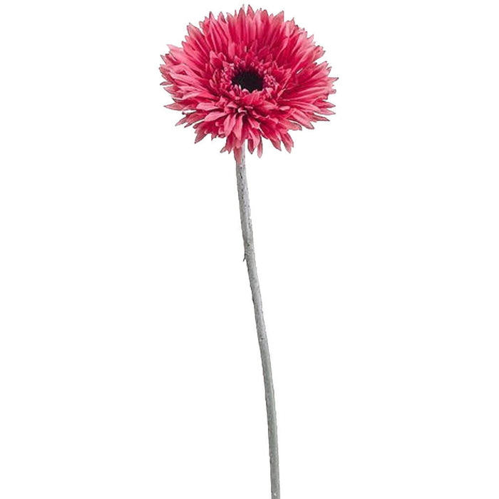Spider Gerbera Daisy Spray 24in, Pink