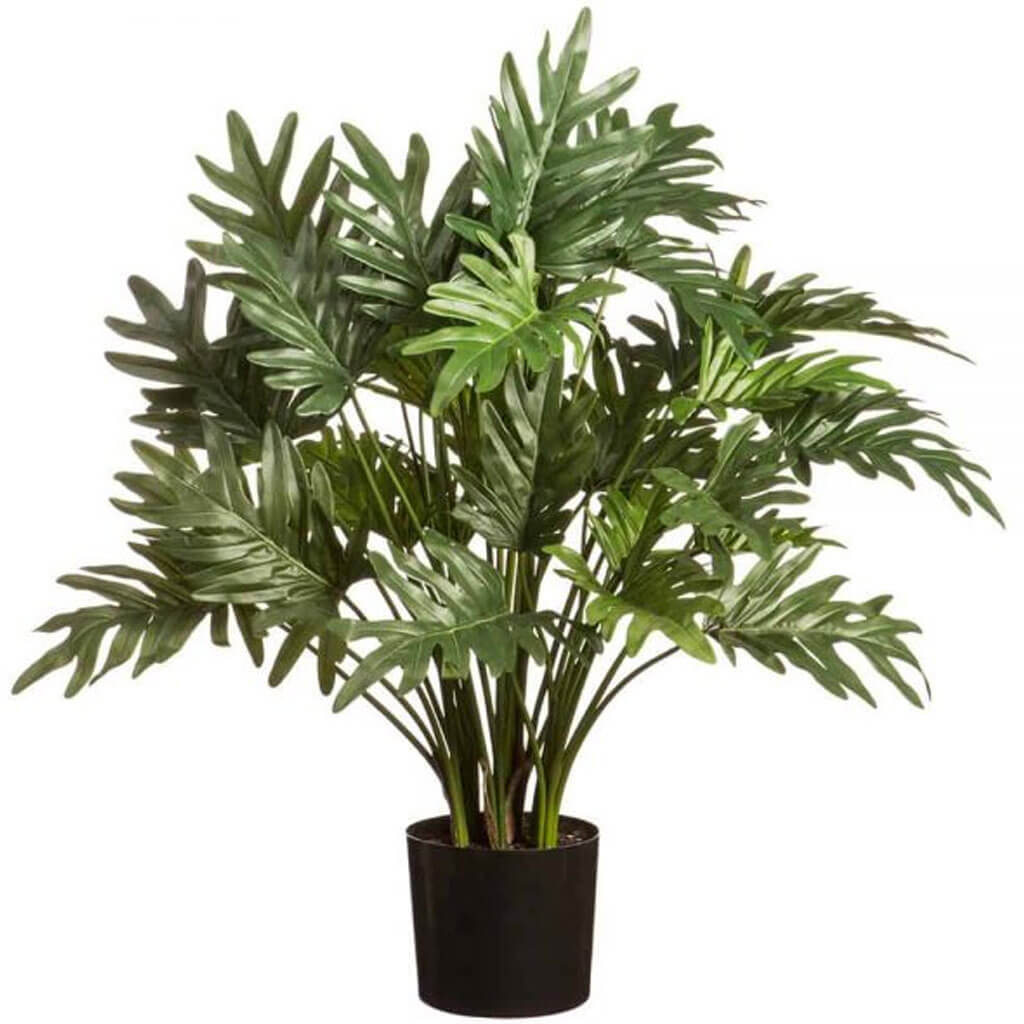 Selloum Philodendron Plant in Pot Green 29.5in