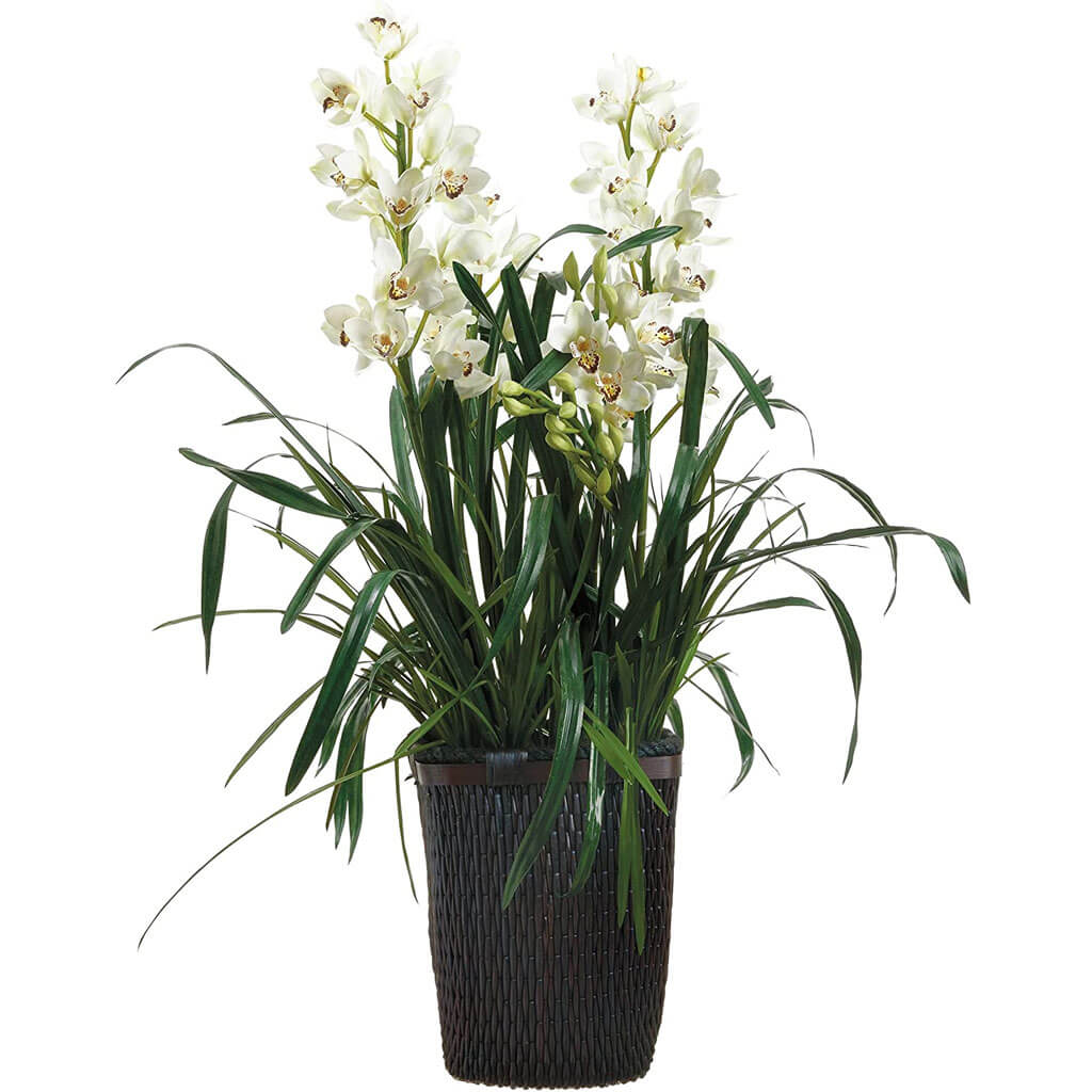 Cymbidium in Basket White 59inH x 35inW x 44inL