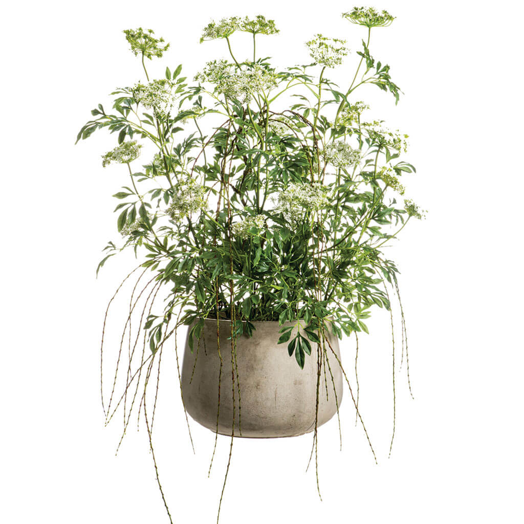 Queen Anne&#39;s Lace with Hanging Willow in Cement Pot Green White 46inH x 39inW x 40inL