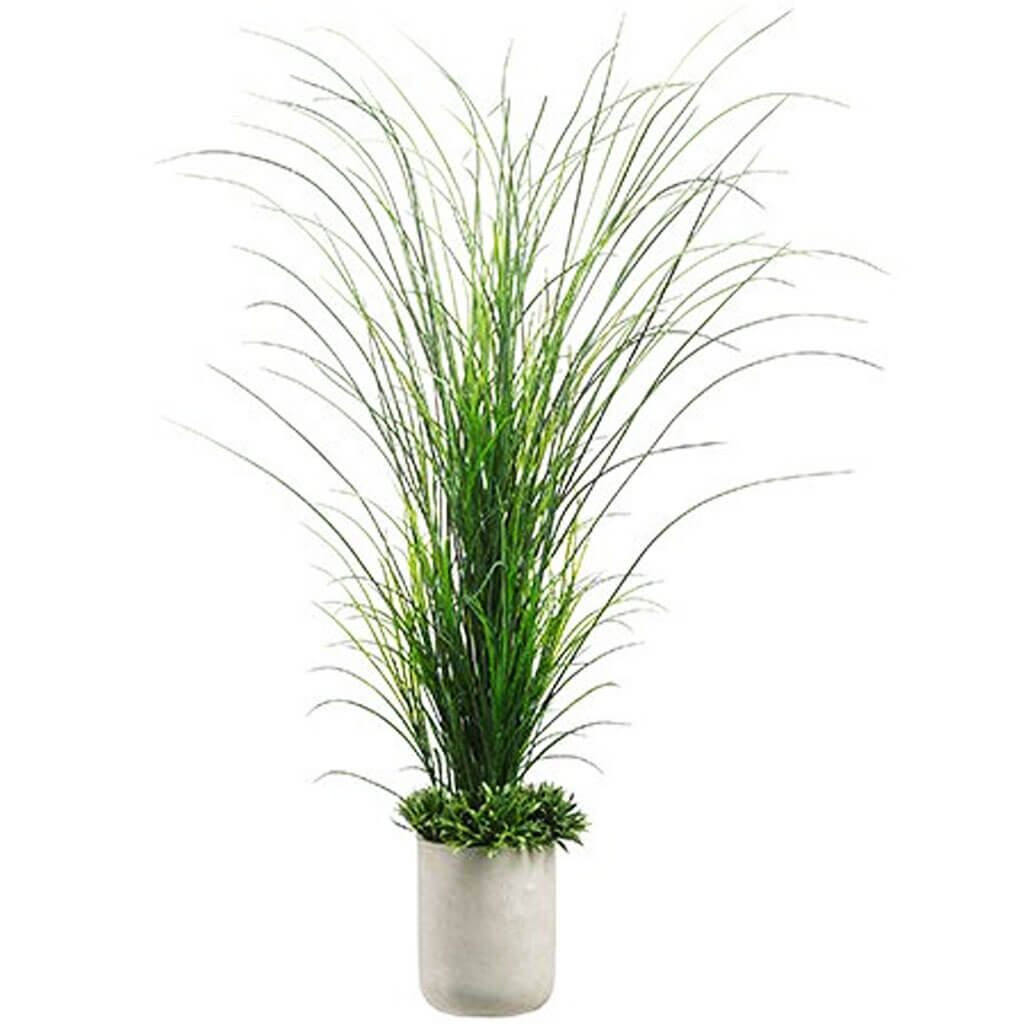 Tall Grass with Rye Grass in Fiber Cement Planter Green 70inH