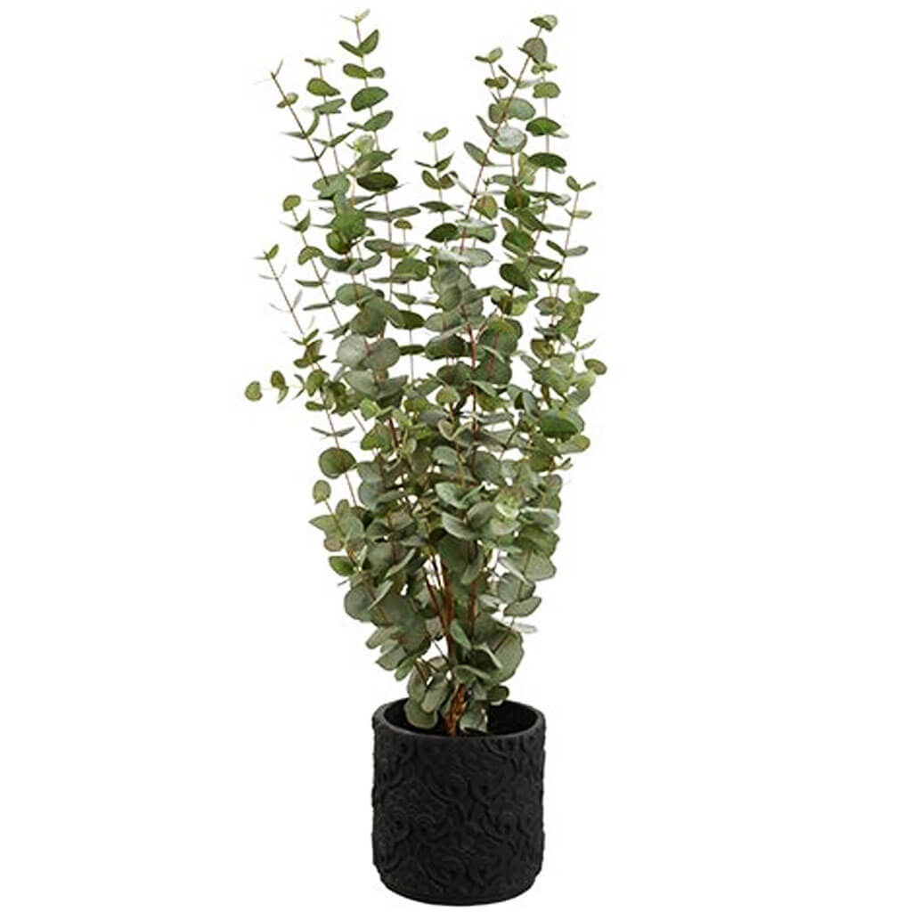 Eucalyptus in Planter Green 45inH x 21inW x 22inL