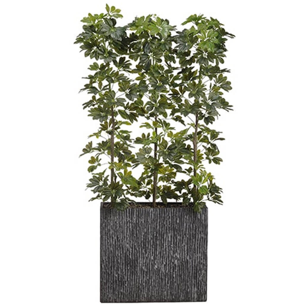 EVA Schefflera Wall Divider Green 6.5ft