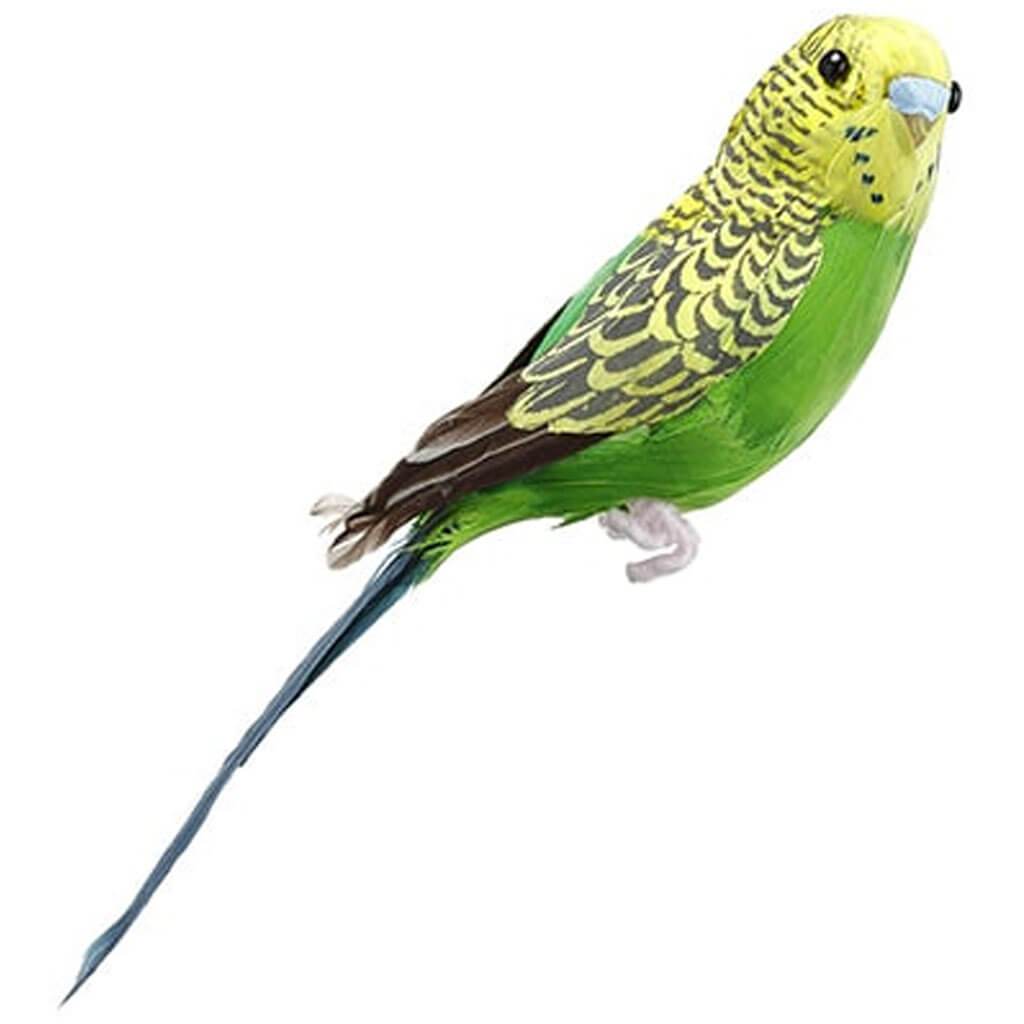 Parakeet Bird Green Yellow, 7in