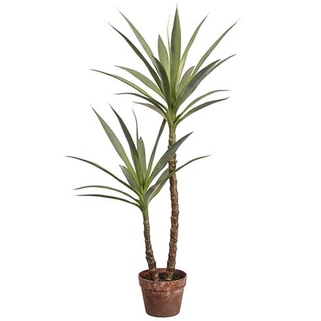 Yucca Tree in Plastic Nursery Pot Green 44in