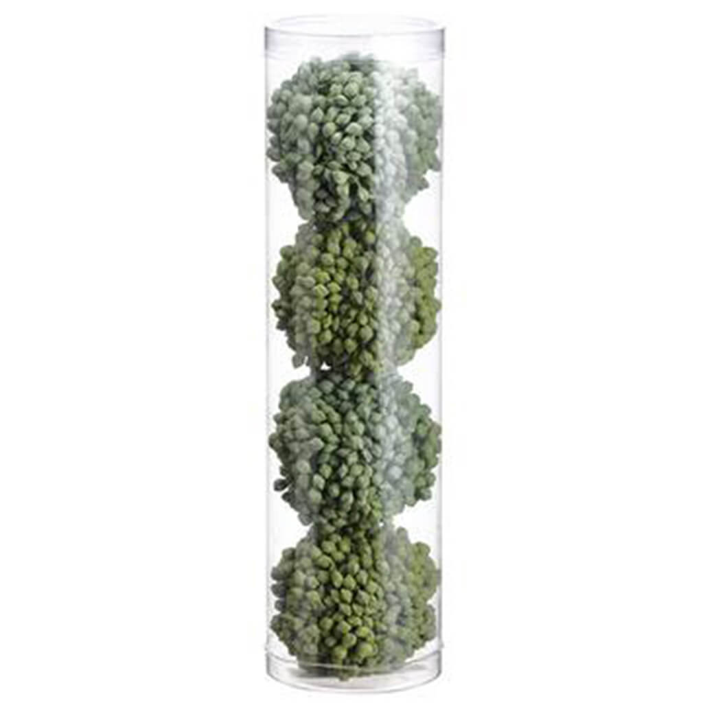 Sedum Orb (4 ea/acetate box) Two Tone Green 2.25in