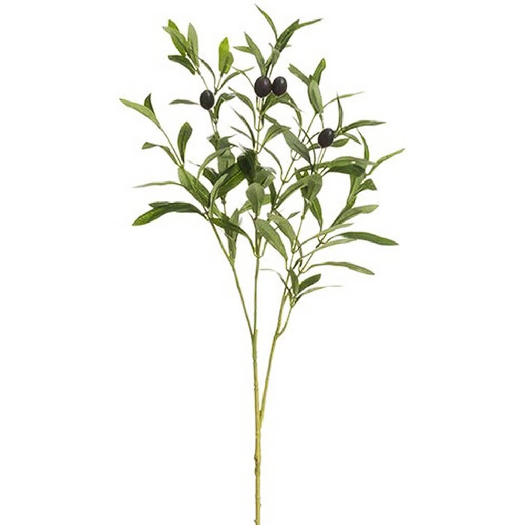 Olive Spray 28in Green