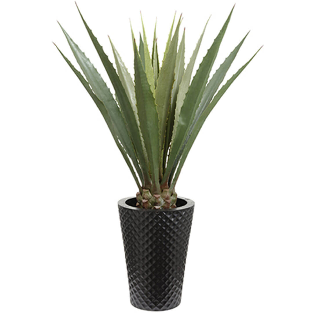 Agave in Metal Container Green 61inH x 37.5inW x 39inL