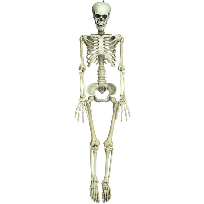 Articulated Skeleton