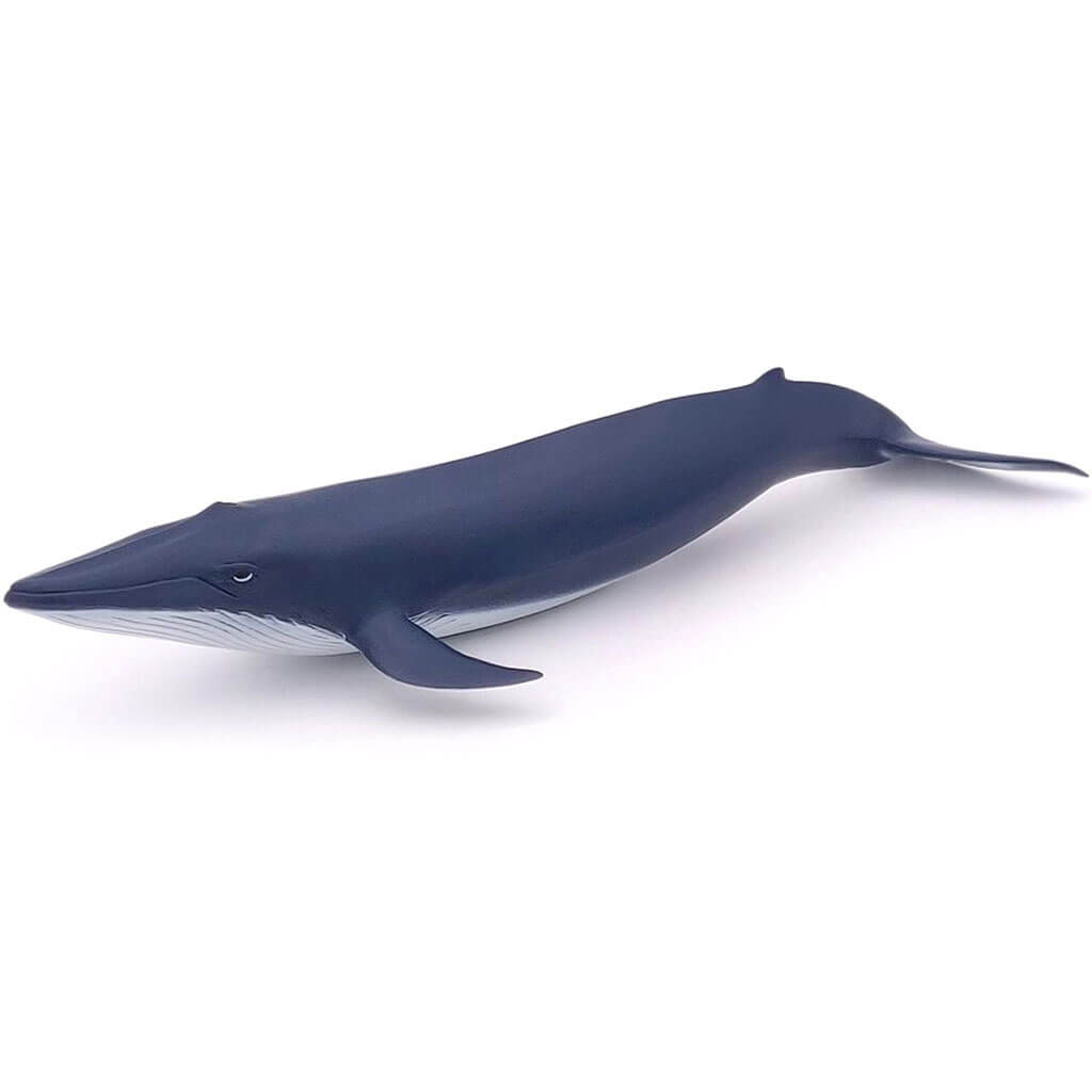 Blue Whale Calf Figurine