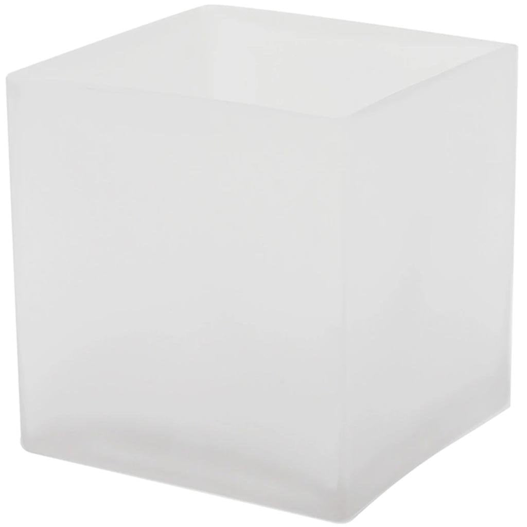 Frosted Cube Vase, H5in X L5in X W5in