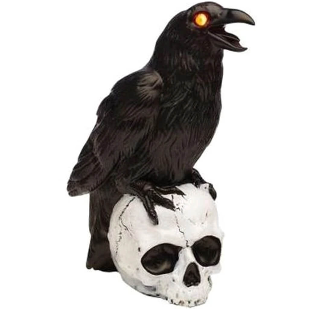 LU/Sound Night Bird Raven