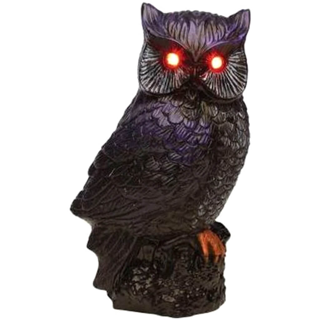 Light Up Sound Night Bird Owl