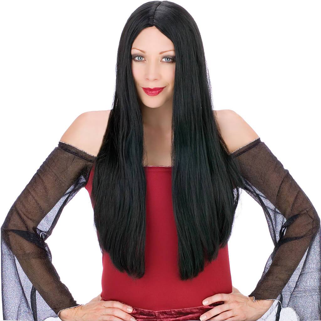 Long Locks Wig 25in