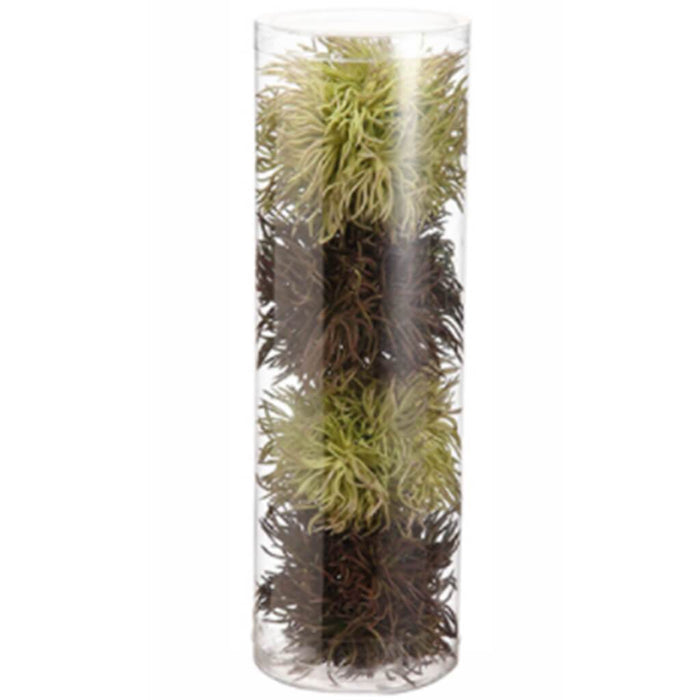 Chestnut Orb (4 Ea/acetate box) Two Tone Green 3.5in