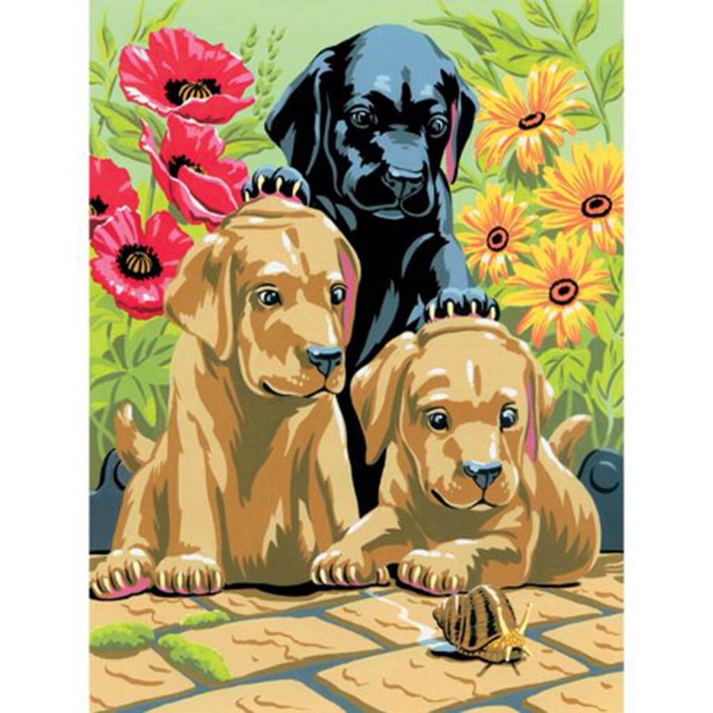 Paint By Number Junior Labrador Puppies