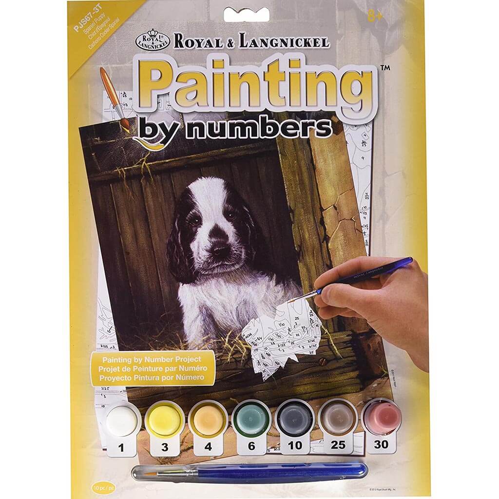 Painting By Numbers Junior Small Spaniel Puppy