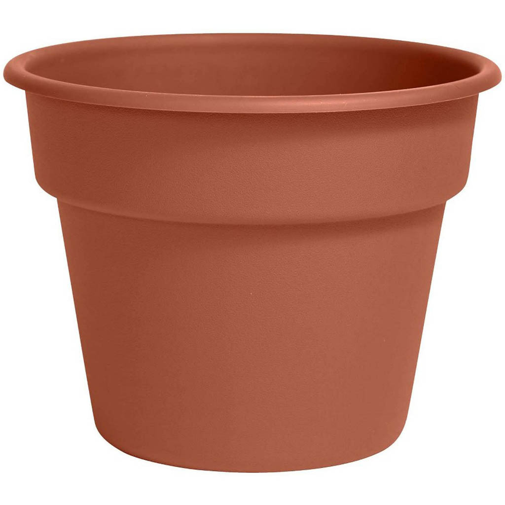 Dura Cotta Planter Terra Cotta, 6in