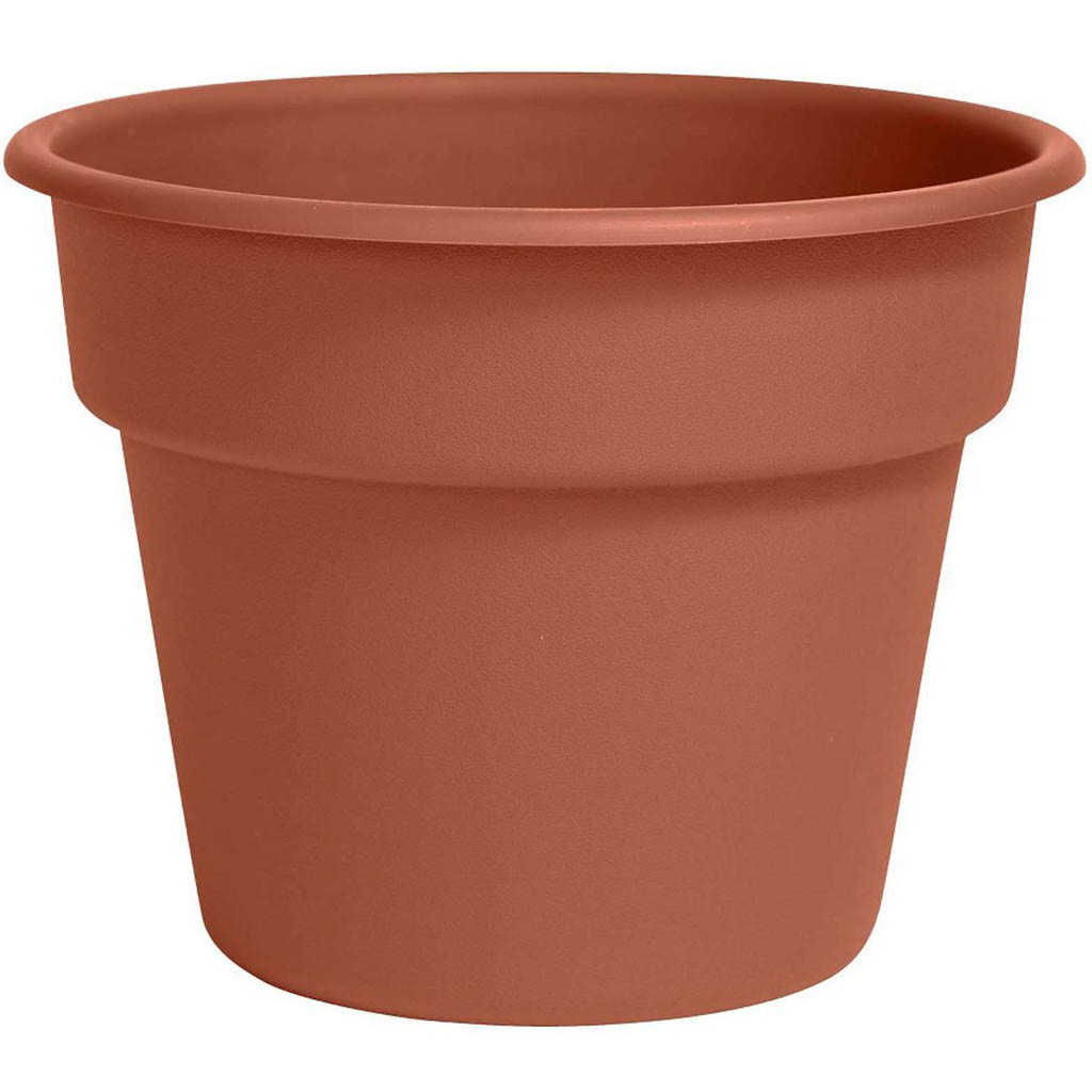 Dura Cotta Planter Terra Cotta, 12in