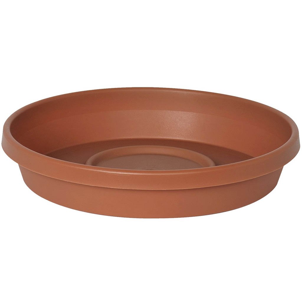 Terra Cotta Saucer, 8in