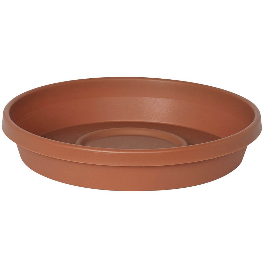 Terra Cotta Saucer, 10in