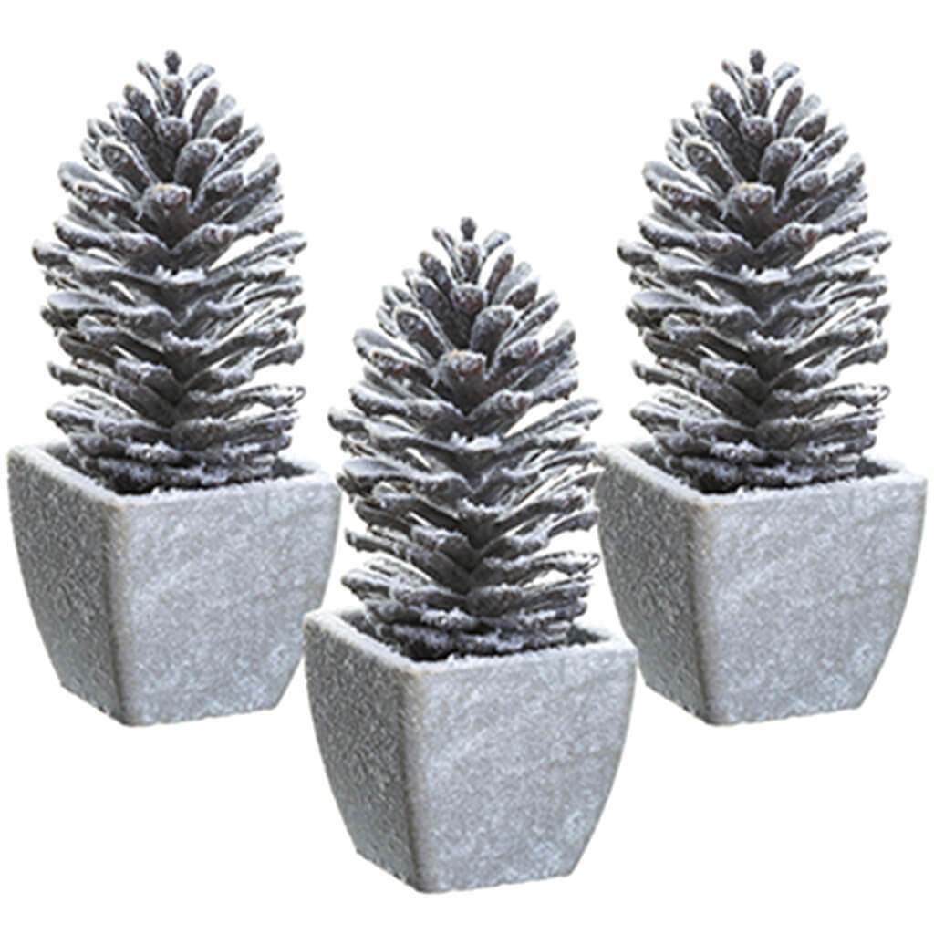 Snowed Pine Cone in Paper Mache Pot Assortment 7.5in