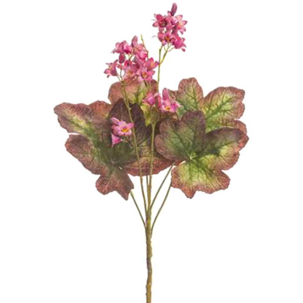 Flowering Heuchera Bush Mauve Purple 18in