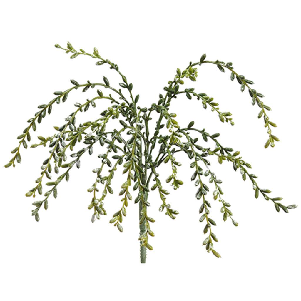 Snowed Sedum Hanging Bush x9 Green Snow 17in