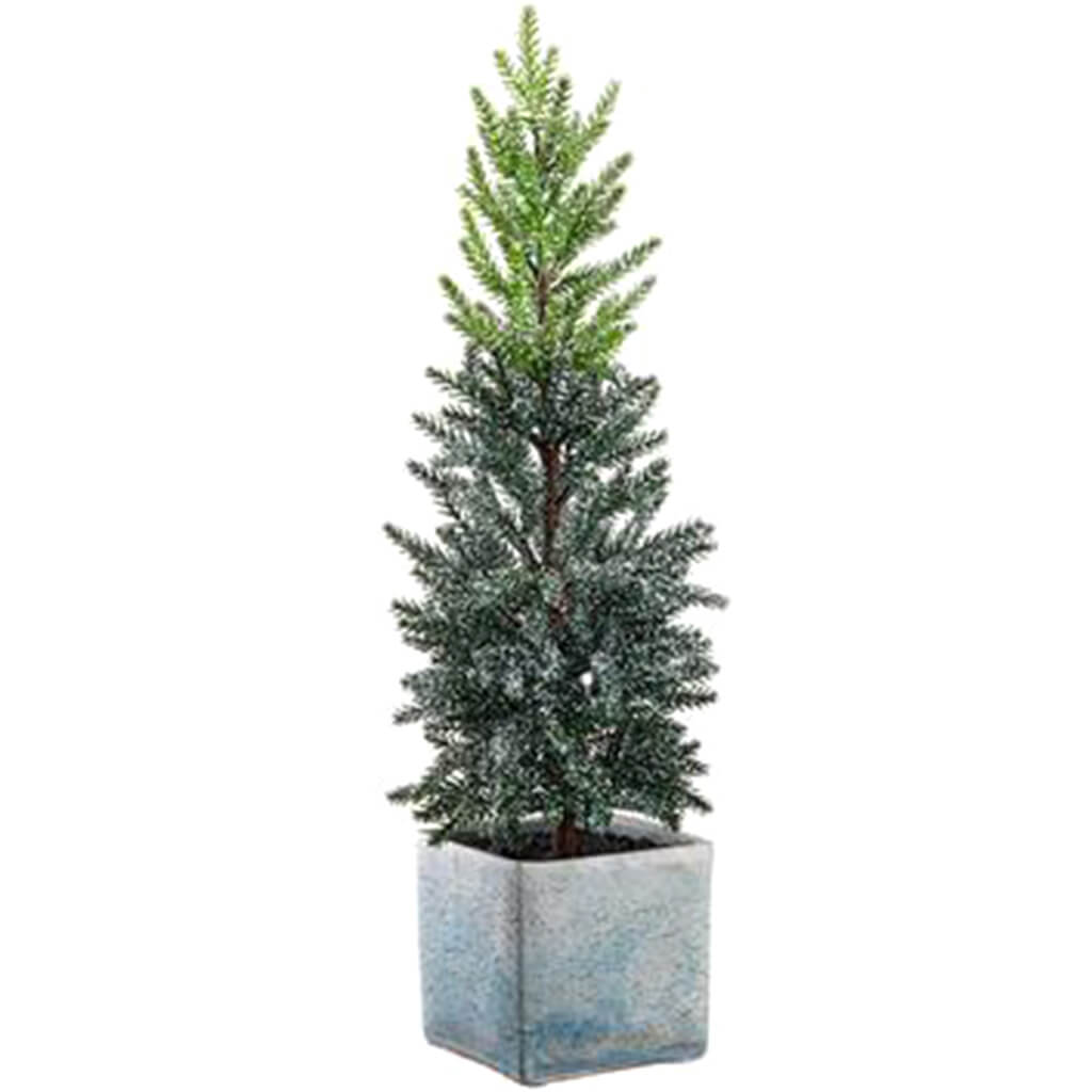 Snowed Pine Tree in Cement Pot Green White 22in