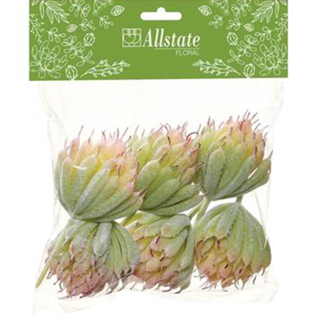 Dudlea Pick Green Pink 8in