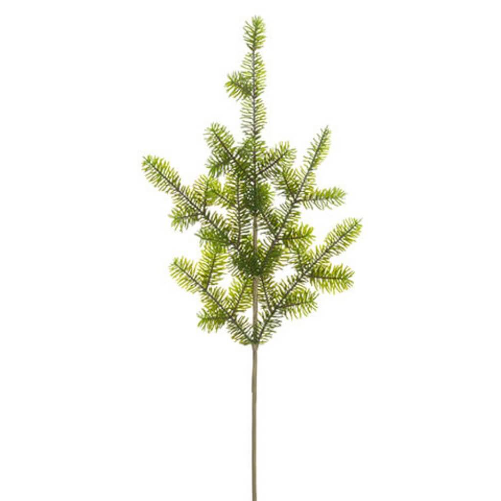 Norway Spruce Spray Green