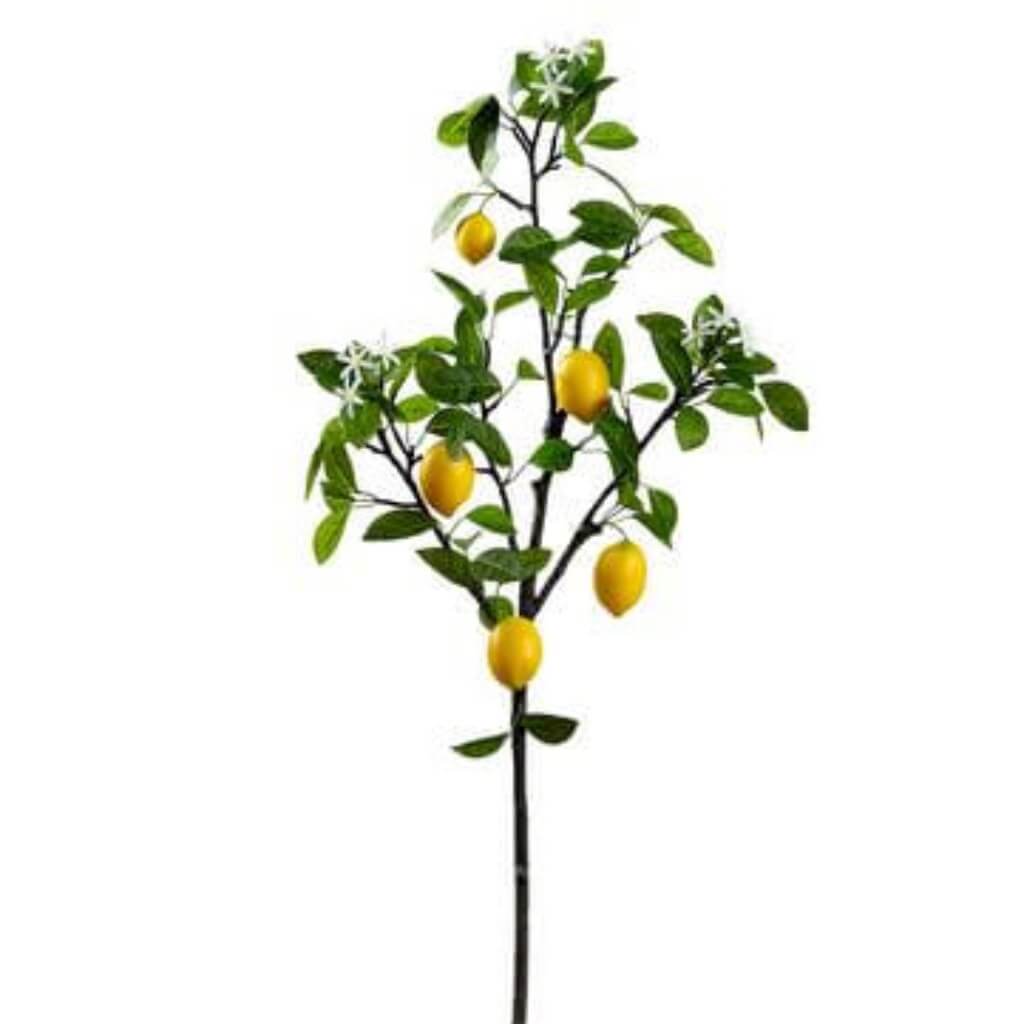 Lemon Tree Branch With Blossoms Yellow 48in