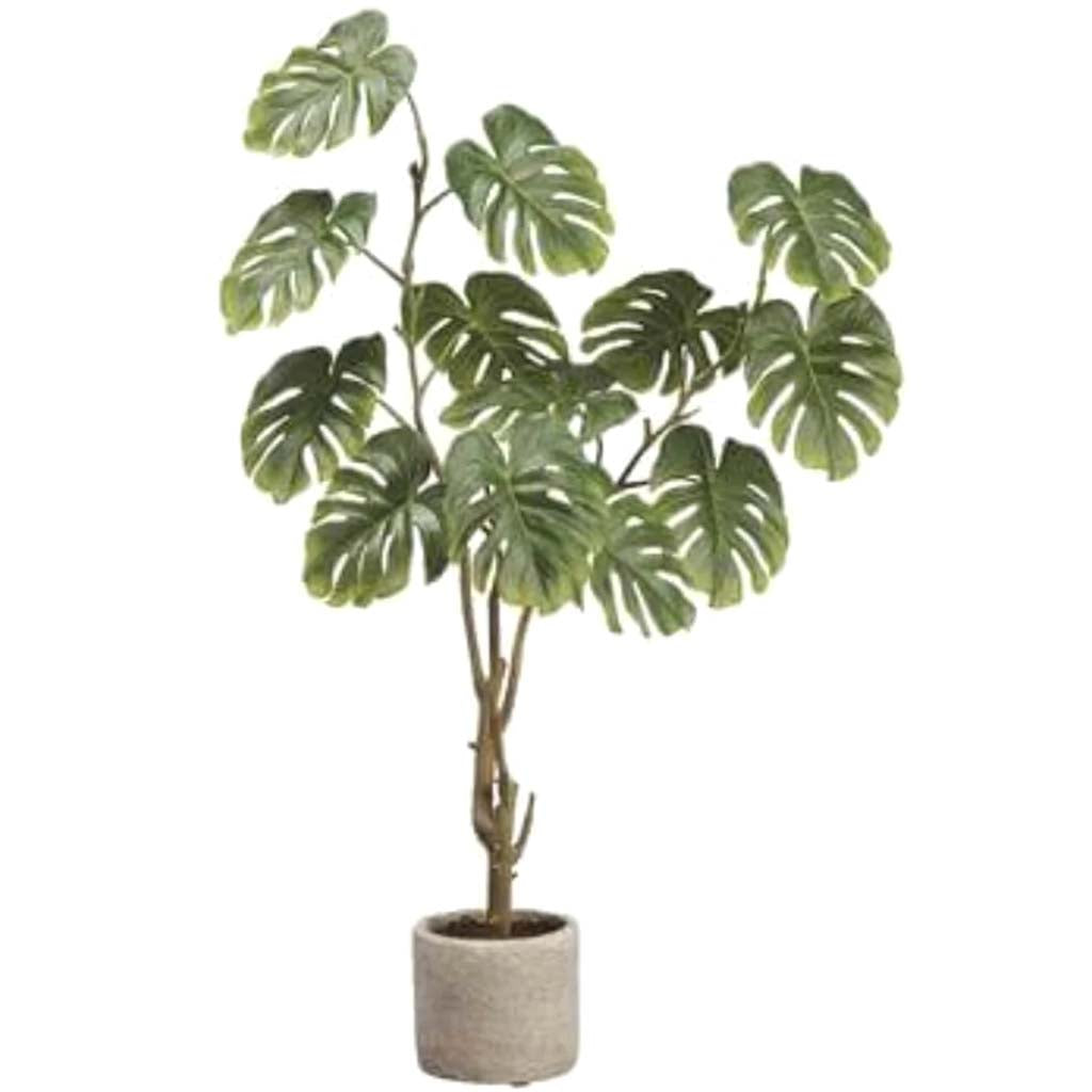 Split Philodendron Plant in Cement Pot Green 28in