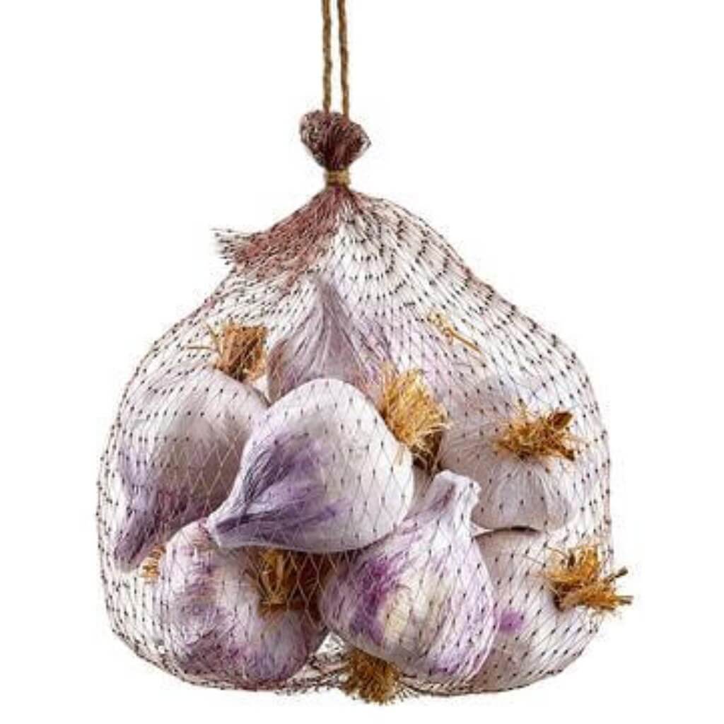 12 Garlic Meshed Bag White Purple 1.9-2.3in