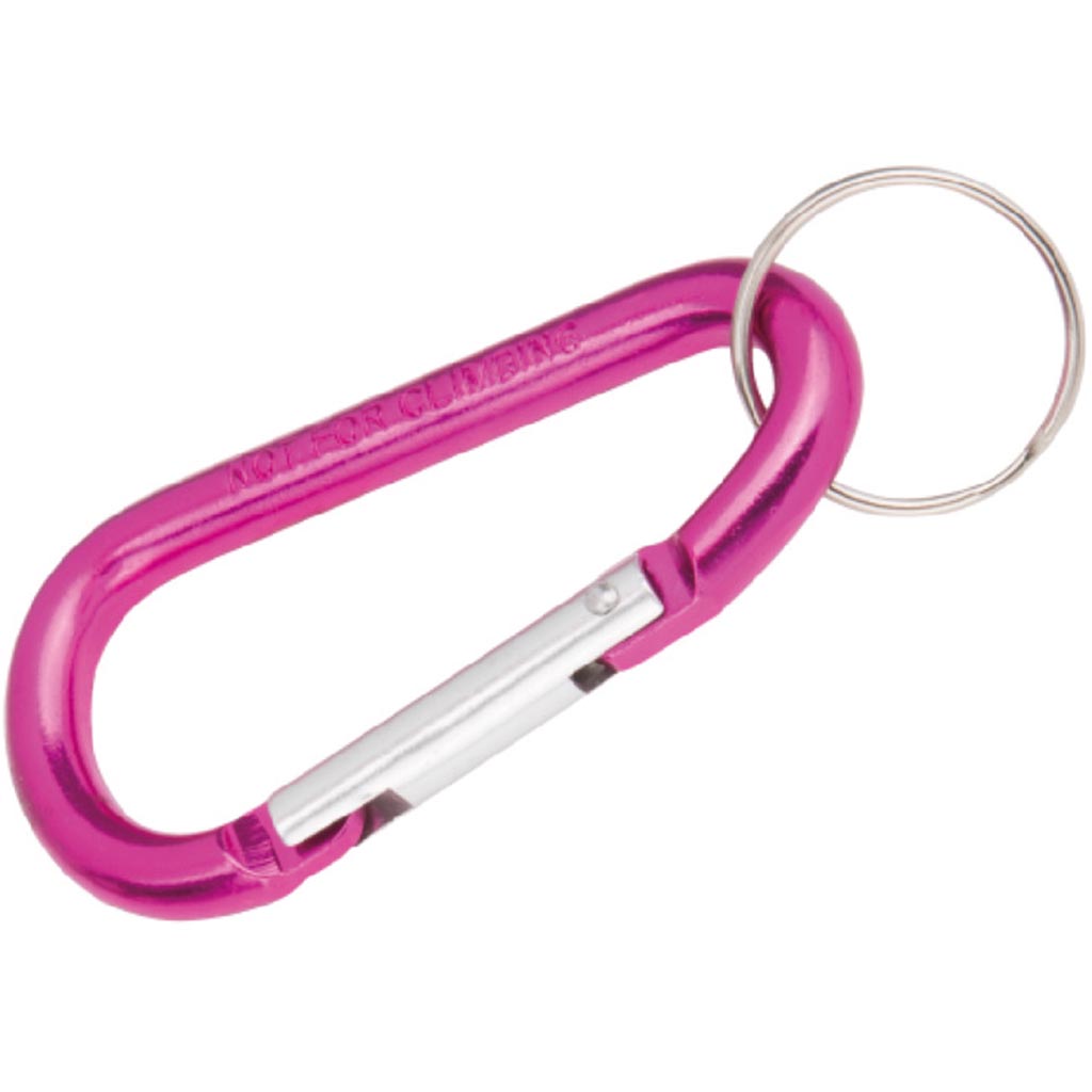 C-Clip Key Chain