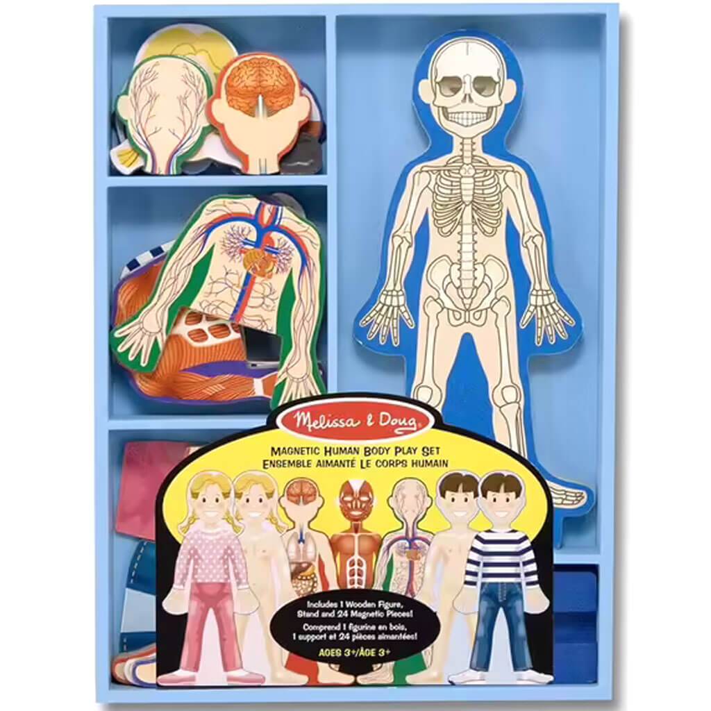 Magnetic Human Body Play Set