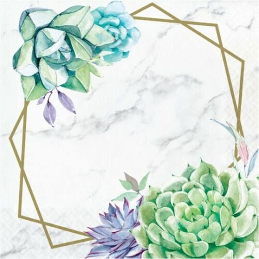 Geometric Succulents Luncheon Napkin, 16ct