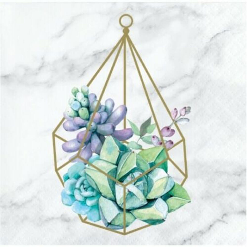 Geometric Succulents Beverage Napkin, 16ct